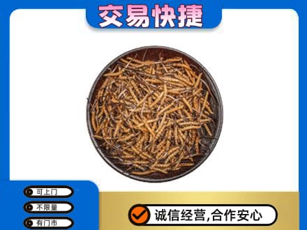 攀枝花礼品回收虫草.jpg